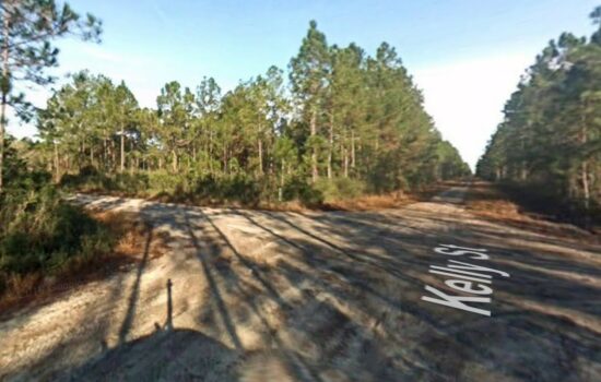 Beautiful 1.14 Acre Vacant Lot in Flagler FL