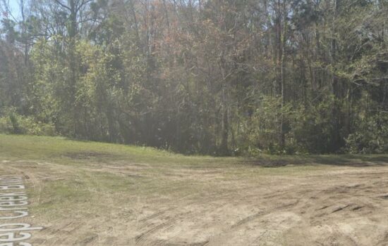 Investment 1.1 Acre Vacant Lot in Flagler FL